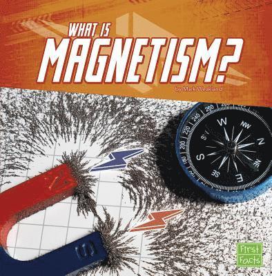 Mark Weakland - What Is Magnetism?, Häftad