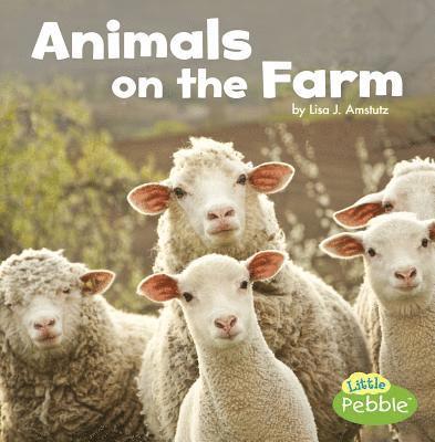 Animals on the Farm 1