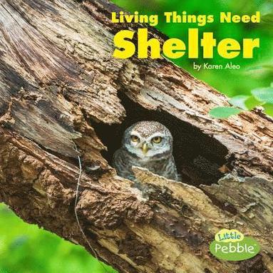 bokomslag Living Things Need Shelter