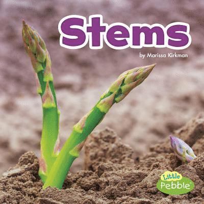 Marissa Kirkman - Stems, Inbunden