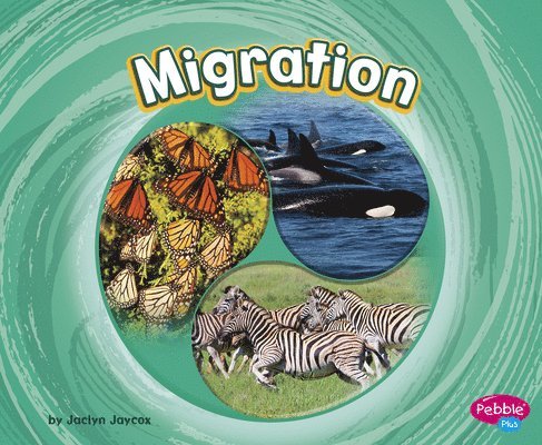 Jaclyn Jaycox - Migration, Inbunden