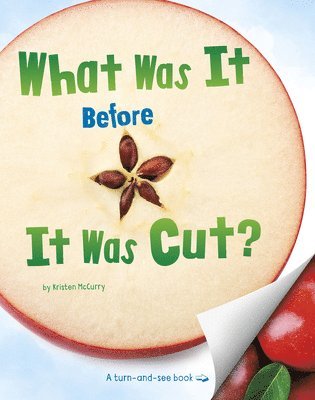 Kristen McCurry - What Was It Before It Was Cut?, Inbunden