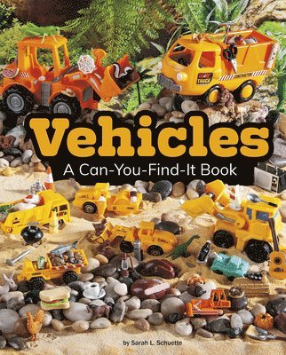 Vehicles: A Can-You-Find-It Book 1