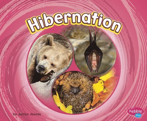 Hibernation 1