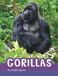 bokomslag Gorillas