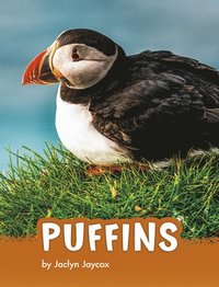 bokomslag Puffins