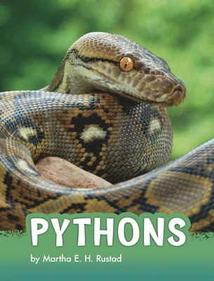 Pythons 1