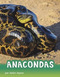 bokomslag Anacondas