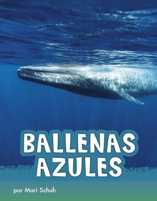 Mari Schuh - Ballenas Azules (Blue Whales), Inbunden