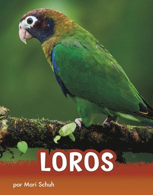Mari Schuh - Loros (Parrots), Inbunden