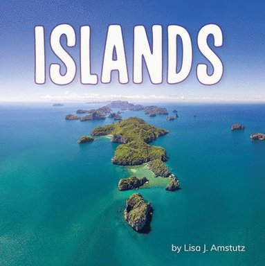 bokomslag Islands