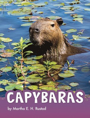 bokomslag Capybaras