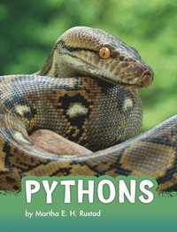 bokomslag Pythons