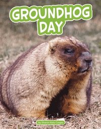 bokomslag Groundhog Day