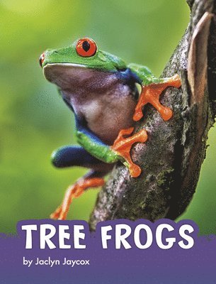 Jaclyn Jaycox - Tree Frogs, Inbunden