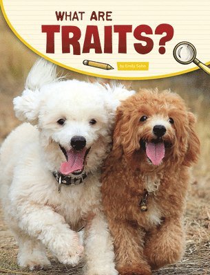 Emily Sohn - What Are Traits?, Häftad