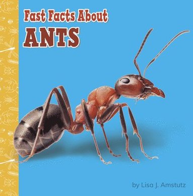 bokomslag Fast Facts about Ants