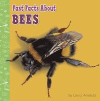 bokomslag Fast Facts about Bees