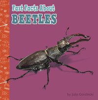 bokomslag Fast Facts about Beetles