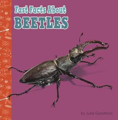 bokomslag Fast Facts about Beetles