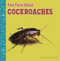 bokomslag Fast Facts about Cockroaches