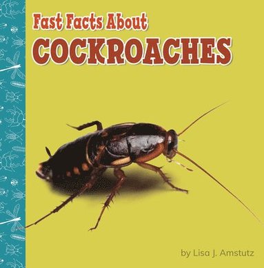 bokomslag Fast Facts about Cockroaches