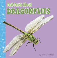 bokomslag Fast Facts about Dragonflies