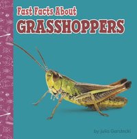 bokomslag Fast Facts about Grasshoppers