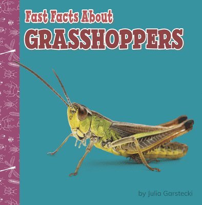 Fast Facts about Grasshoppers 1