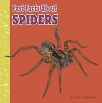 bokomslag Fast Facts about Spiders