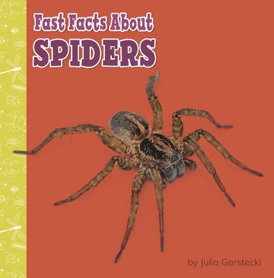 Fast Facts about Spiders 1