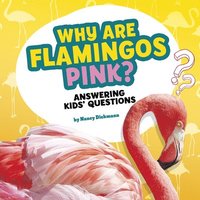 bokomslag Why Are Flamingos Pink?