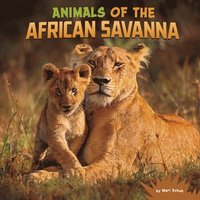 bokomslag Animals of the African Savanna