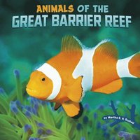 bokomslag Animals of the Great Barrier Reef