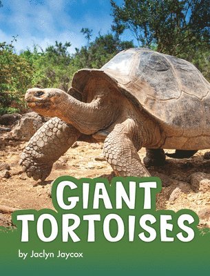 Jaclyn Jaycox - Giant Tortoises, Häftad