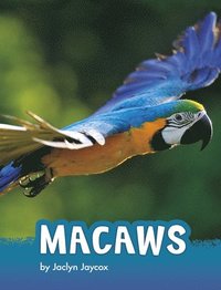 bokomslag Macaws