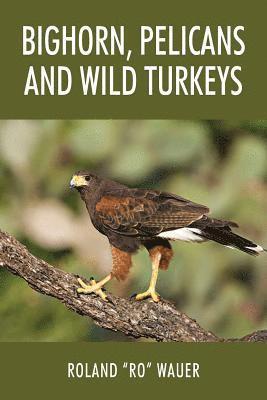bokomslag Bighorn, Pelicans and Wild Turkeys