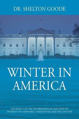 bokomslag Winter in America