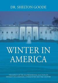 bokomslag Winter in America