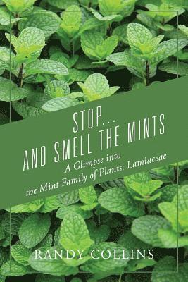 Stop...and Smell the Mints 1