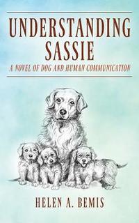 bokomslag Understanding Sassie