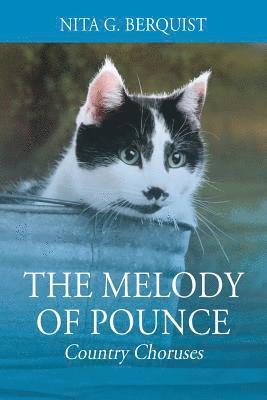 bokomslag The Melody of Pounce