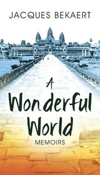 bokomslag Wonderful World