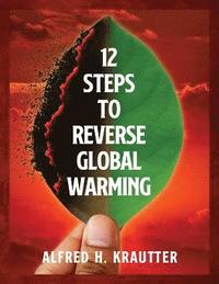 bokomslag 12 Steps to Reverse Global Warming