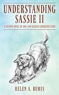bokomslag Understanding Sassie II