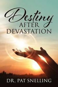 bokomslag Destiny After Devastation