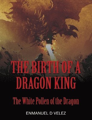 bokomslag The Birth of a Dragon King