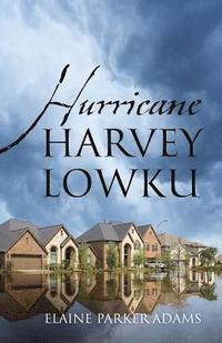 bokomslag Hurricane Harvey Lowku