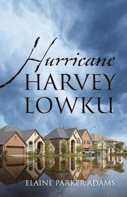 bokomslag Hurricane Harvey Lowku