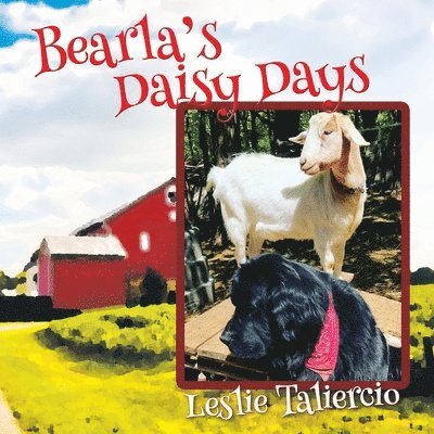 Bearla's Daisy Days 1